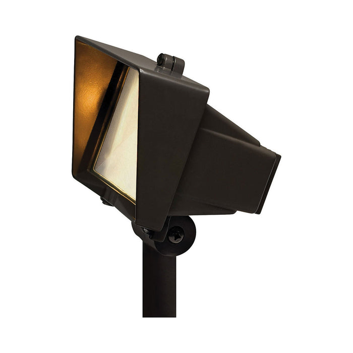 Flood Light with Frosted Lens.