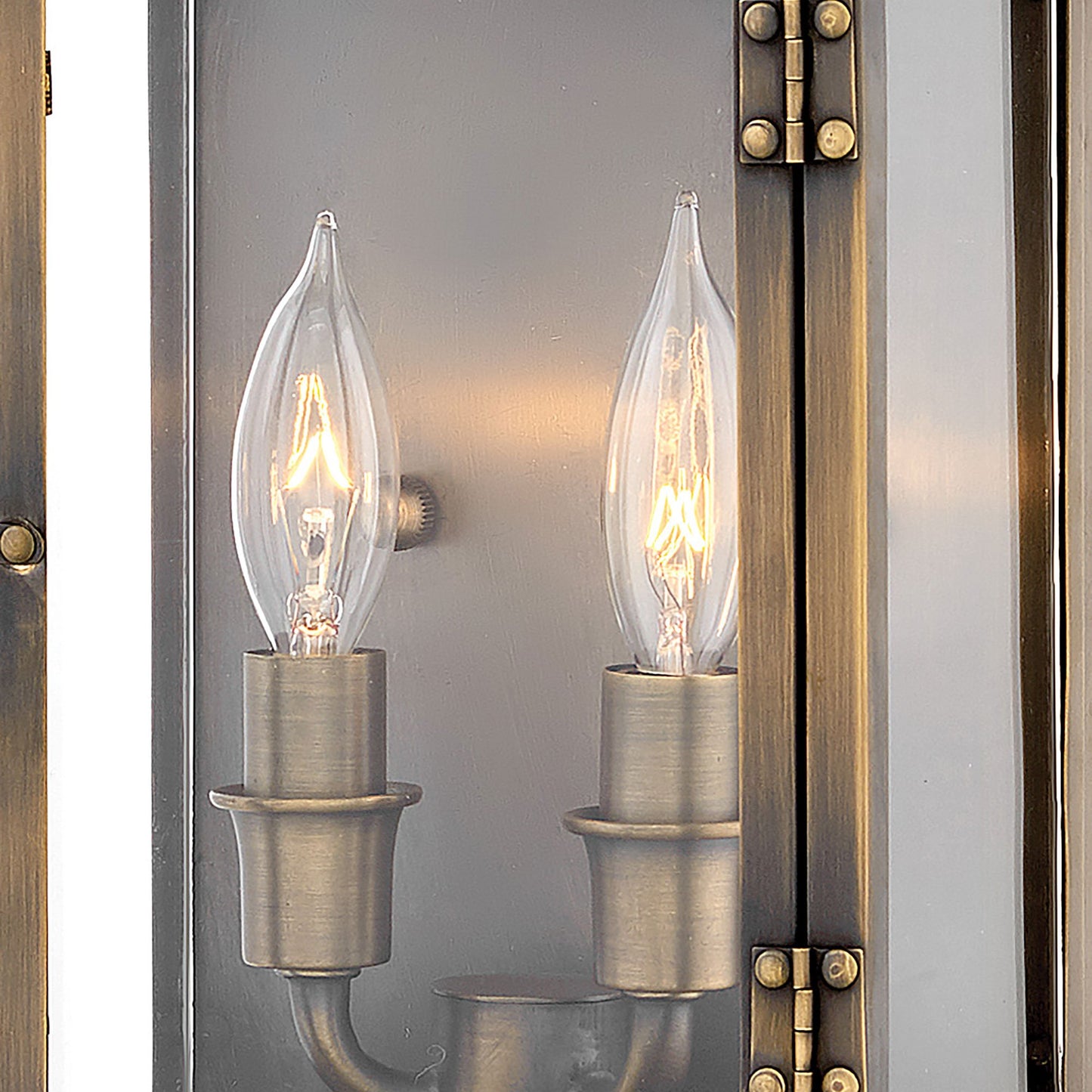 Hamilton Outdoor Wall Light in Detail.