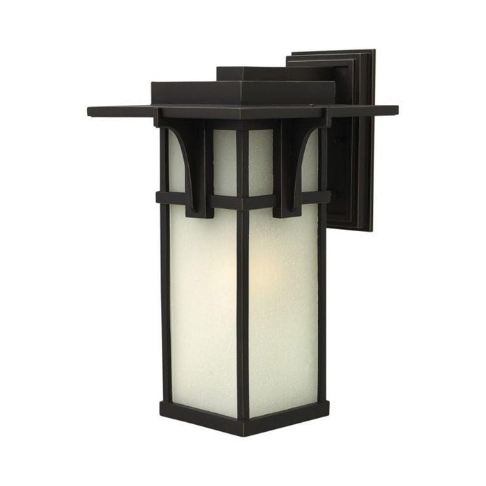 Manhattan Outdoor Wall Light in Etched Seedy/Incandescent (Large).