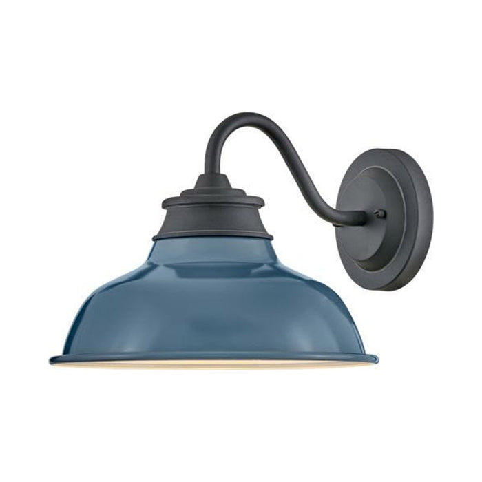 Wallace Outdoor Wall Light in Museum Black With Denim Blue Accent.