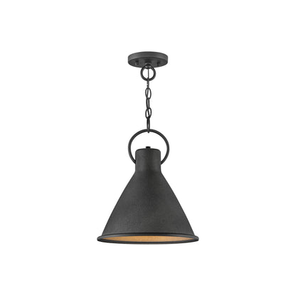 Winnie Pendant Light in Small/Aged Zinc.