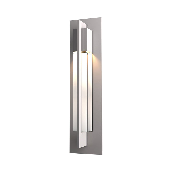 Axis Outdoor Wall Light in Small/Coastal Burnished Steel.