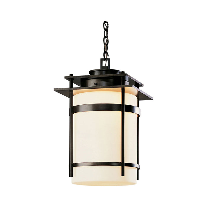 Banded Outdoor Pendant Light in Small/Coastal Black.