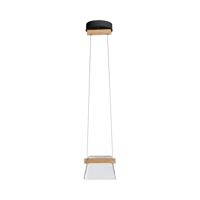 Cowbell LED Mini Pendant Light in Mahogany/Clear Glass with Frost.