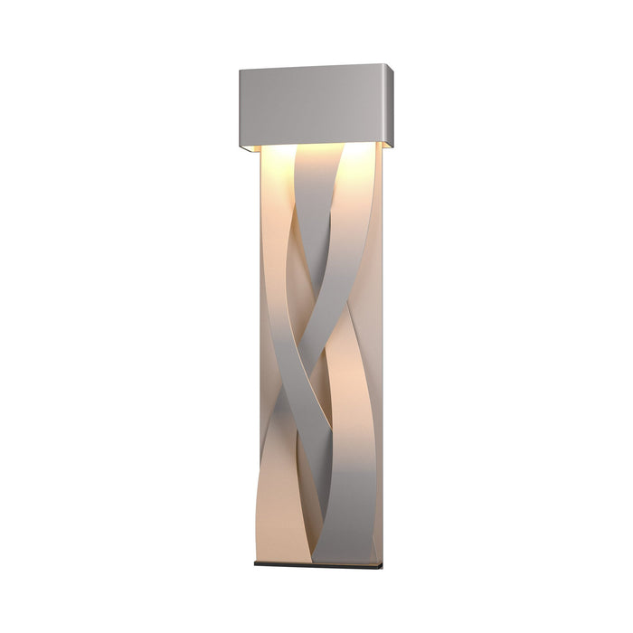 Tress LED Outdoor Wall Light in Small/Coastal Burnished Steel.