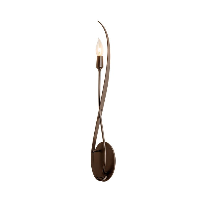 Willow Wall Light in Bronze.