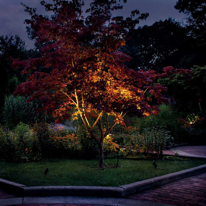 Accent Adjustable LED Landscape Light in Outdoor Area.