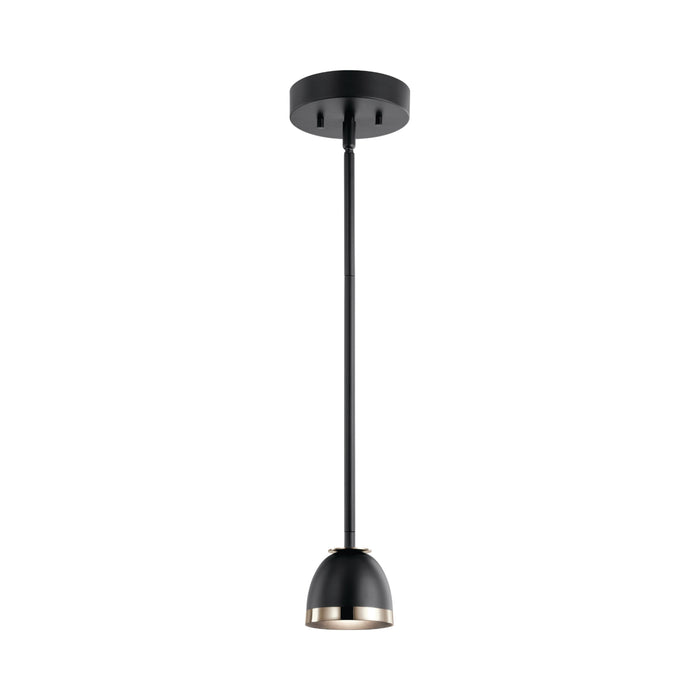 Baland LED Mini Pendant Light in Black.