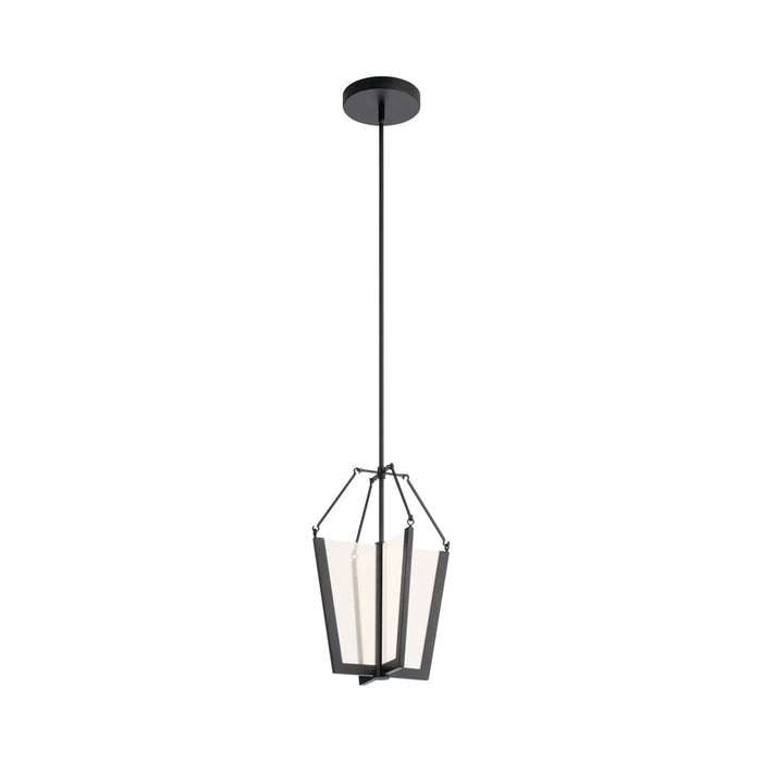 Calters LED Pendant Light in Black (Small).