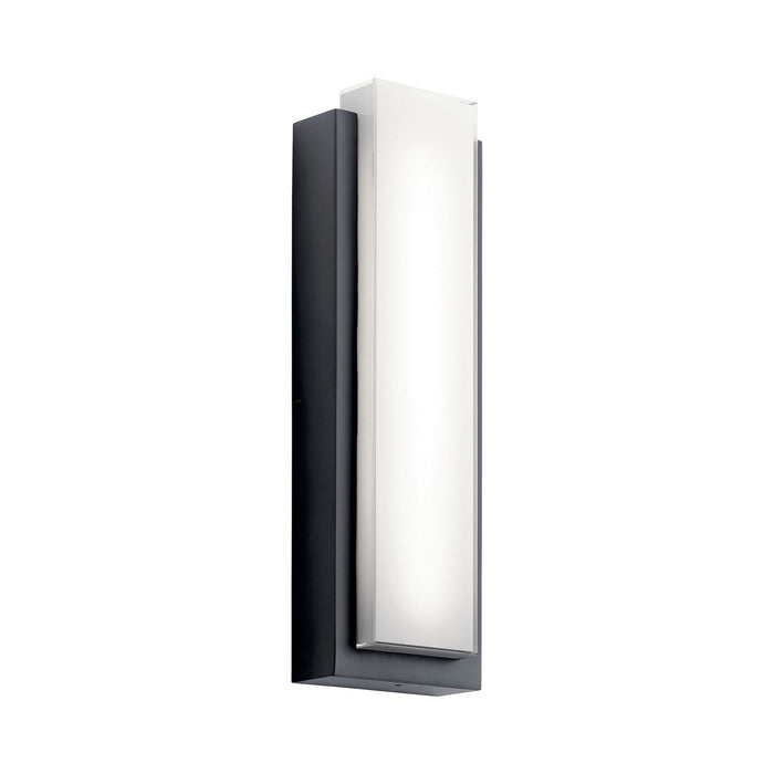 Dahlia Outdoor LED Wall Light in Black (Large).