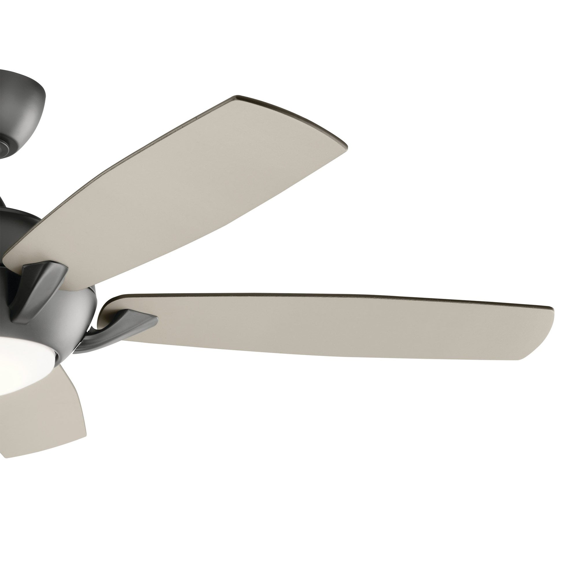 Geno LED Ceiling Fan in Detail.