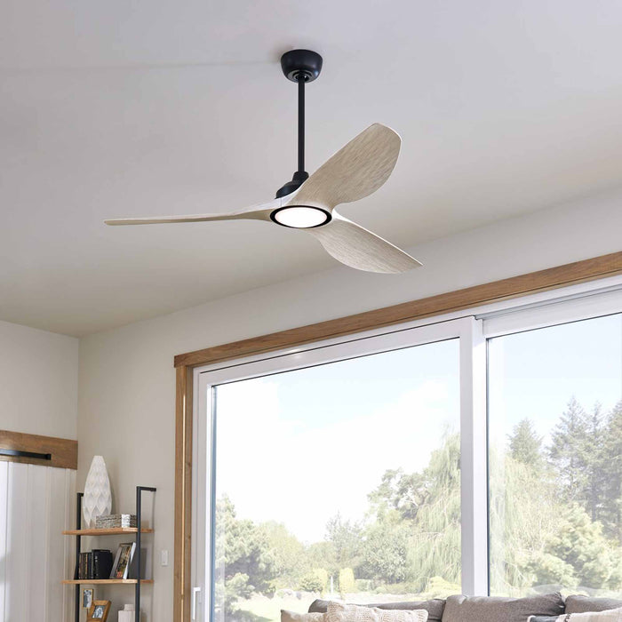 Imari LED Ceiling Fan in living room.