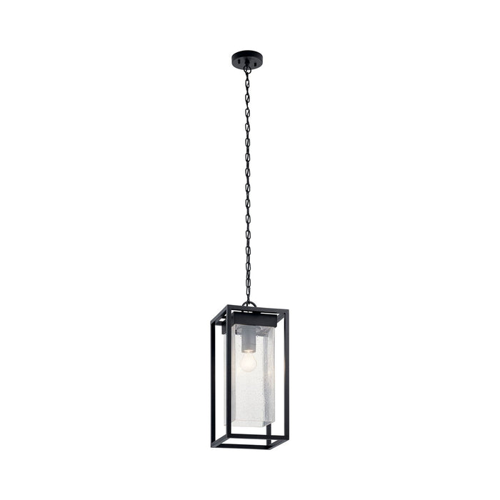 Mercer Outdoor Pendant Light in Black with Silver Highlights.
