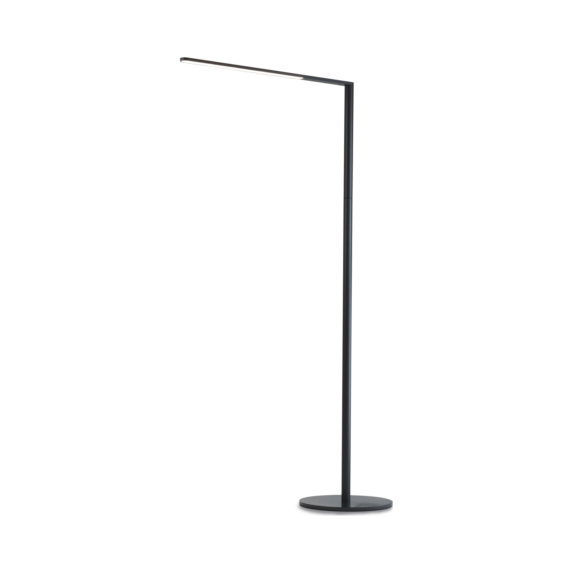 Lady7 LED Floor Lamp.