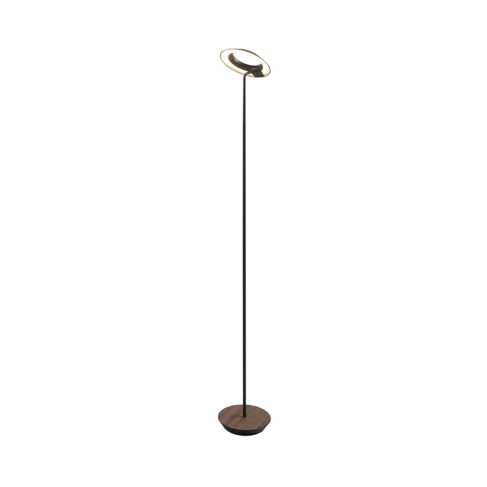 Royyo LED Floor Lamp in Matte Black and Oiled Walnut.
