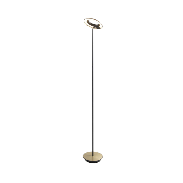 Royyo LED Floor Lamp in Matte Black and Brushed Brass.