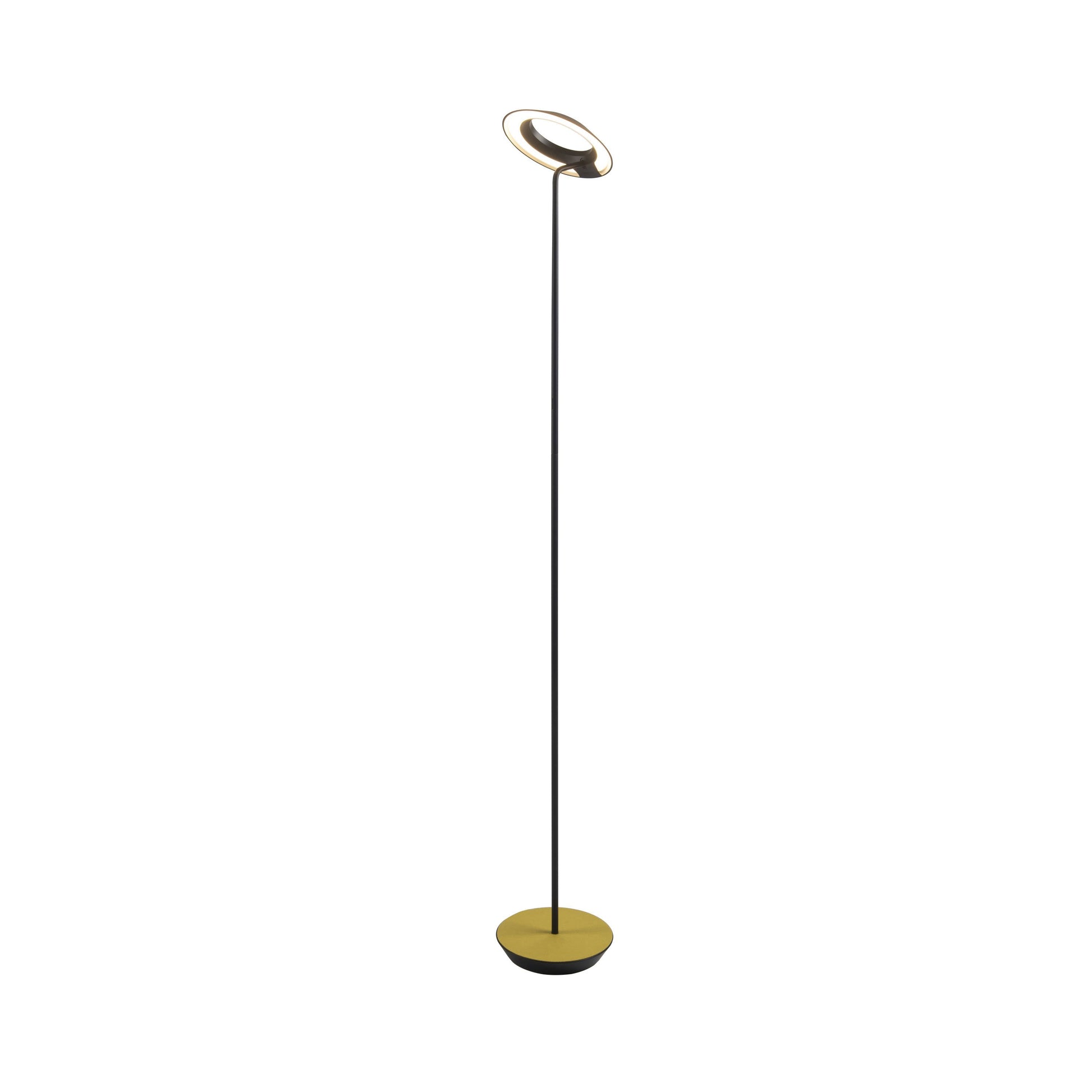 Royyo LED Floor Lamp in Matte Black and Honeydew Felt.