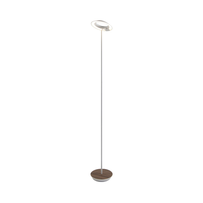 Royyo LED Floor Lamp in Matte White and Oiled Walnut.