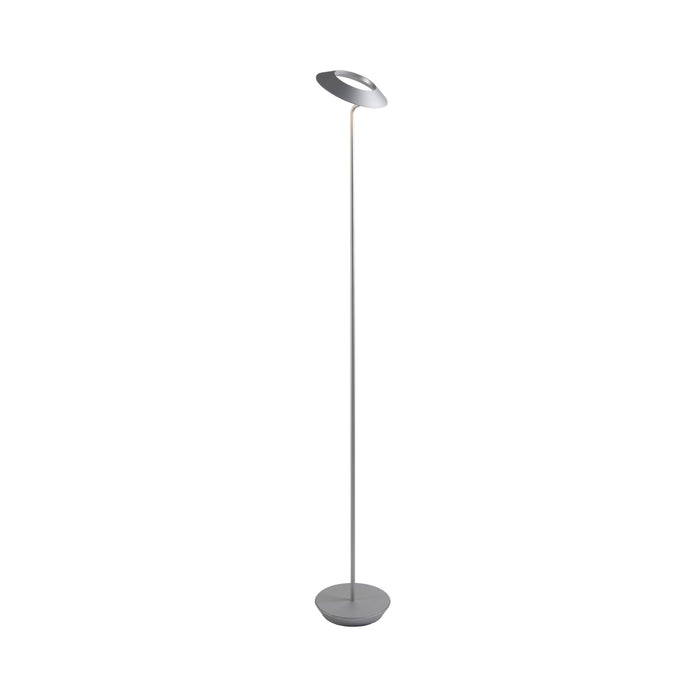 Royyo LED Floor Lamp in Silver.
