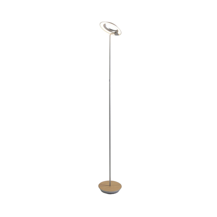 Royyo LED Floor Lamp in Silver and White Oak.