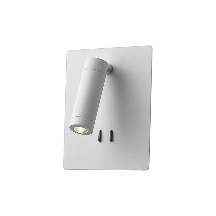 Dorchester LED Wall Light in Middle/White.