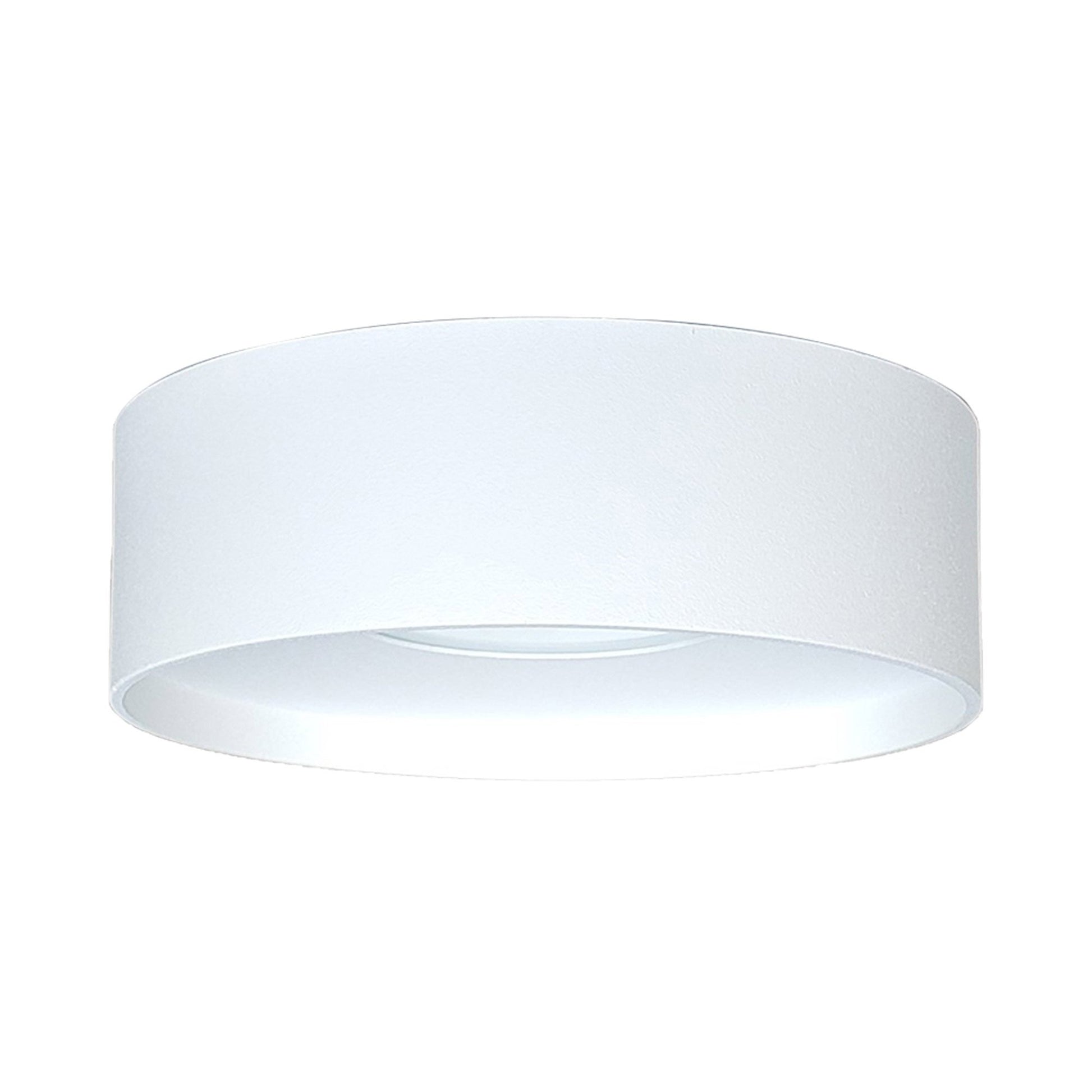 Trenton Outdoor LED Flush Mount Ceiling Light in Frosted Glass/White.