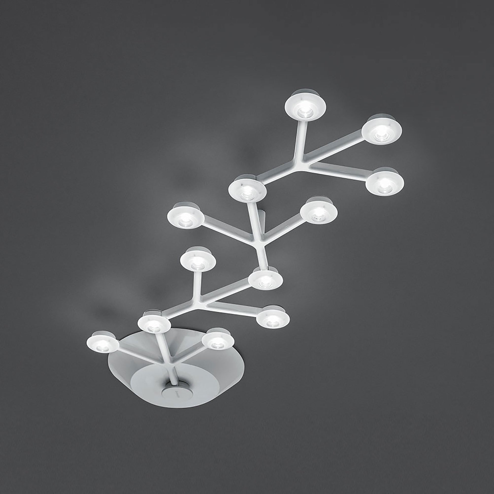 LED Net Line Ceiling Light in Small.