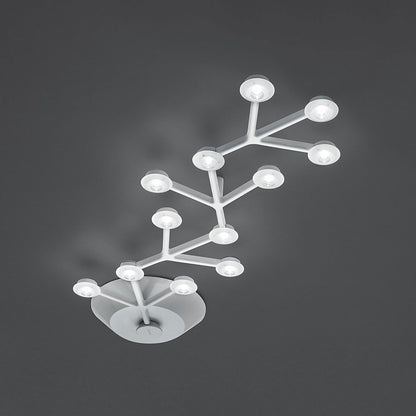 LED Net Line Ceiling Light in Small.