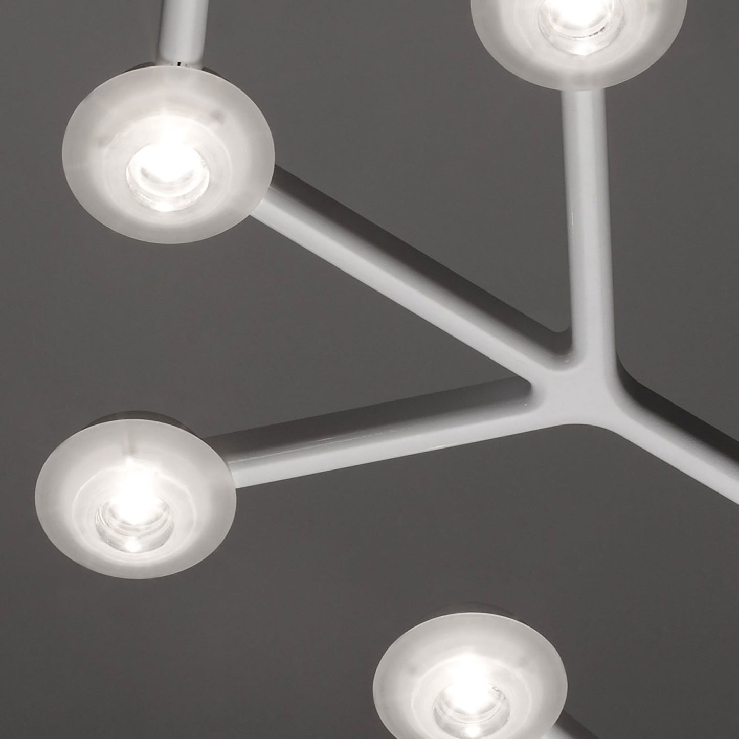 LED Net Line Ceiling Light in Detail.