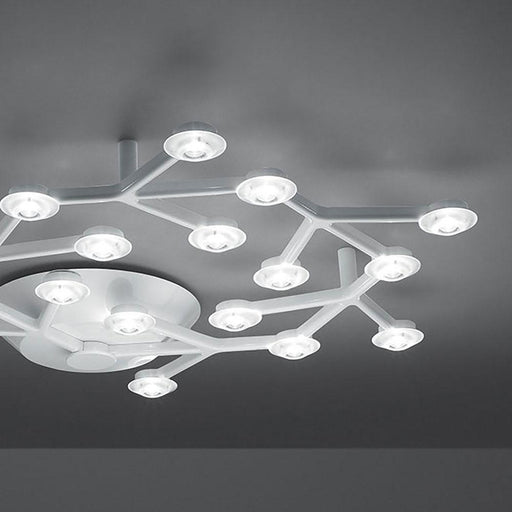 LED Net Circular Ceiling Light in Detail.