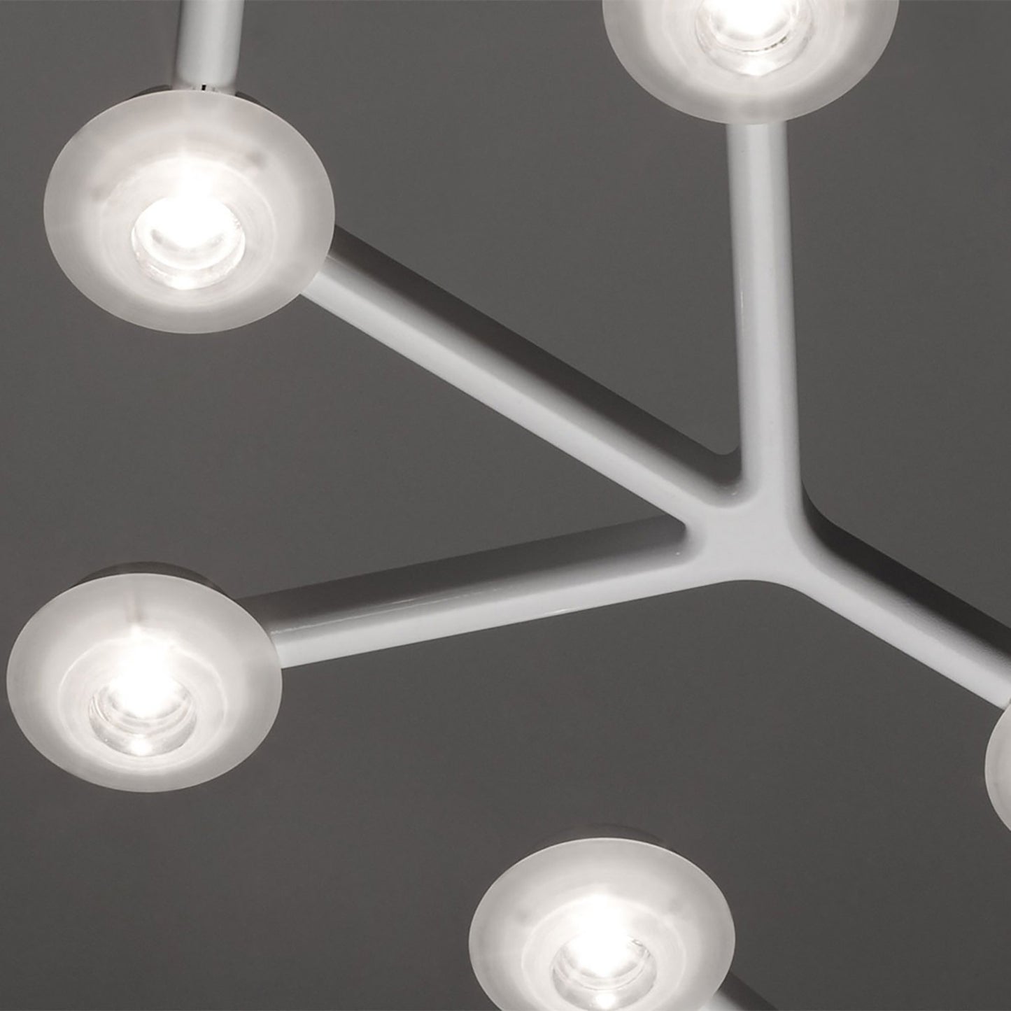 LED Net Circular Suspension Light in Detail.