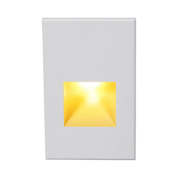 LEDme Vertical LED Step and Wall Light in Amber/White.