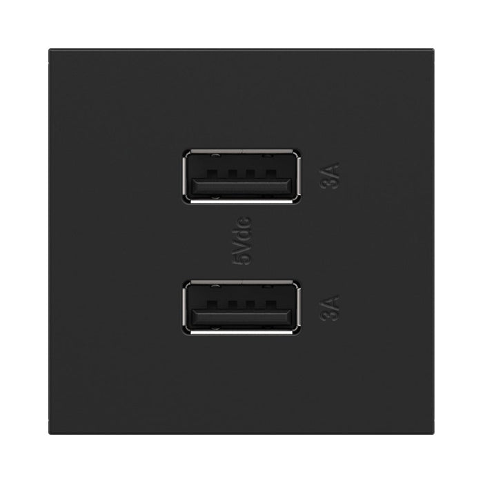 adorne® Full-Size, A/A USB Outlet.