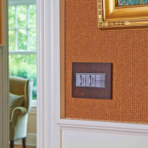 adorne® Paddle Half Switch in living room.