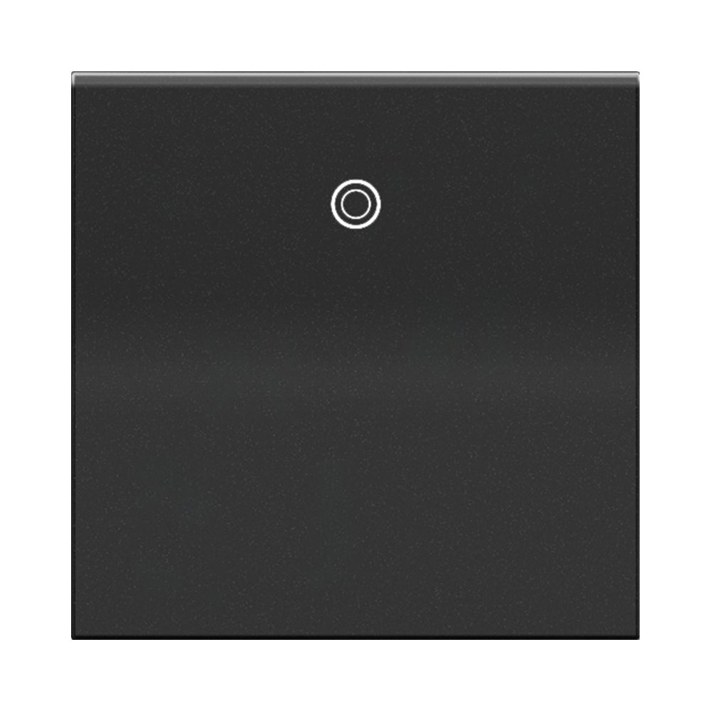 adorne® Paddle Switch in Graphite.