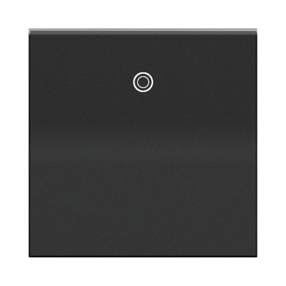 Adorne® Paddle Switch.