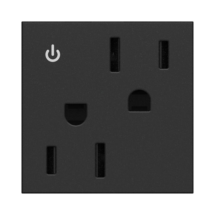 adorne® Tamper-Resistant Dual Controlled Outlet in Graphite (15A).