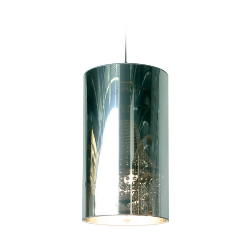 Light Shade Shade Pendant Light in Clear.