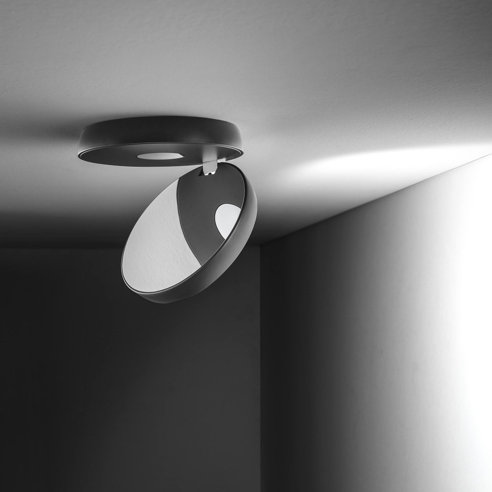 Nautilus LED Ceiling Light in Detail.