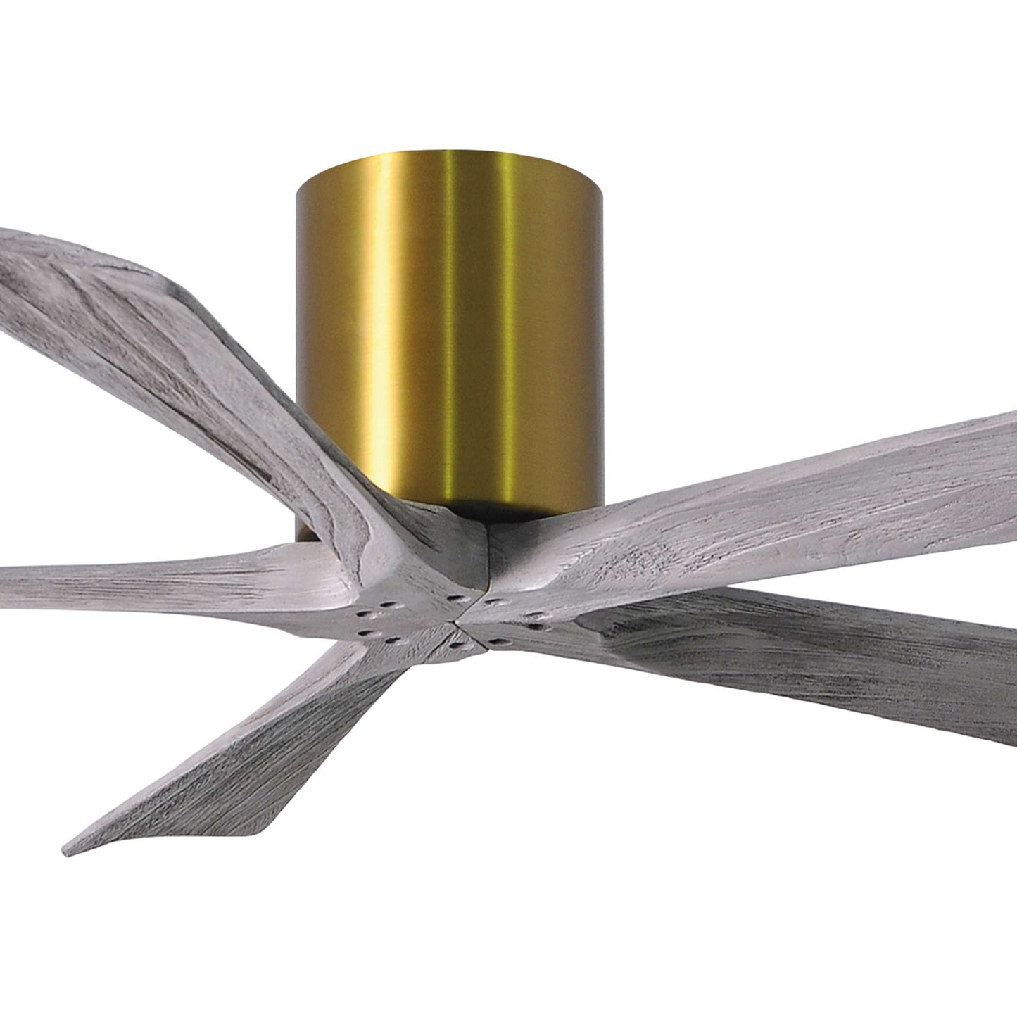 Irene IR5H Indoor / Outdoor Ceiling Fan in Detail.