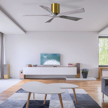 Irene IR5H Indoor / Outdoor Ceiling Fan in Detail.