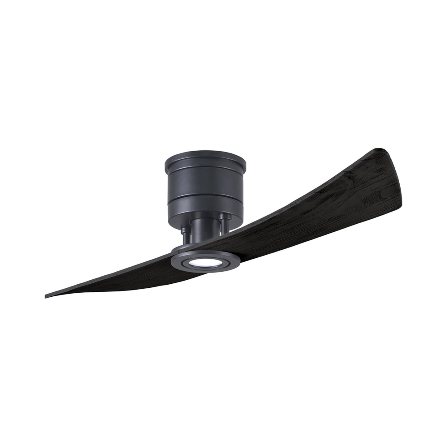 Lindsay LED Ceiling Fan in Matte Black/Matte Black.