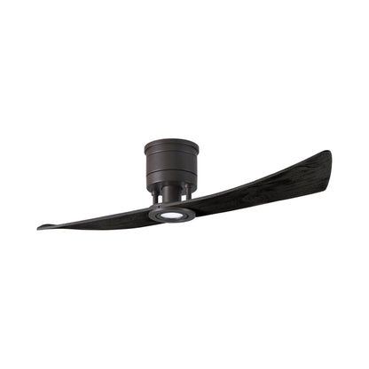 Lindsay LED Ceiling Fan in Textured Bronze/Matte Black.