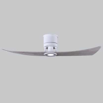 Lindsay LED Ceiling Fan in Detail.