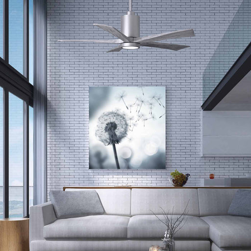 Patricia 5 LED Ceiling Fan in living room.