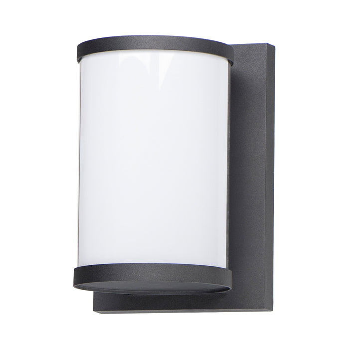 Barrel Outdoor LED Wall Light (Medium).
