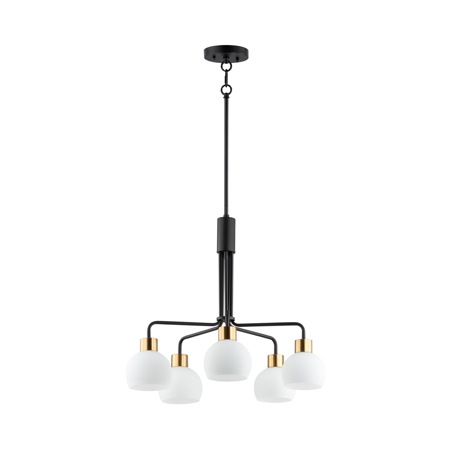 Coraline Chandelier in Bronze/Satin Brass (5-Light).