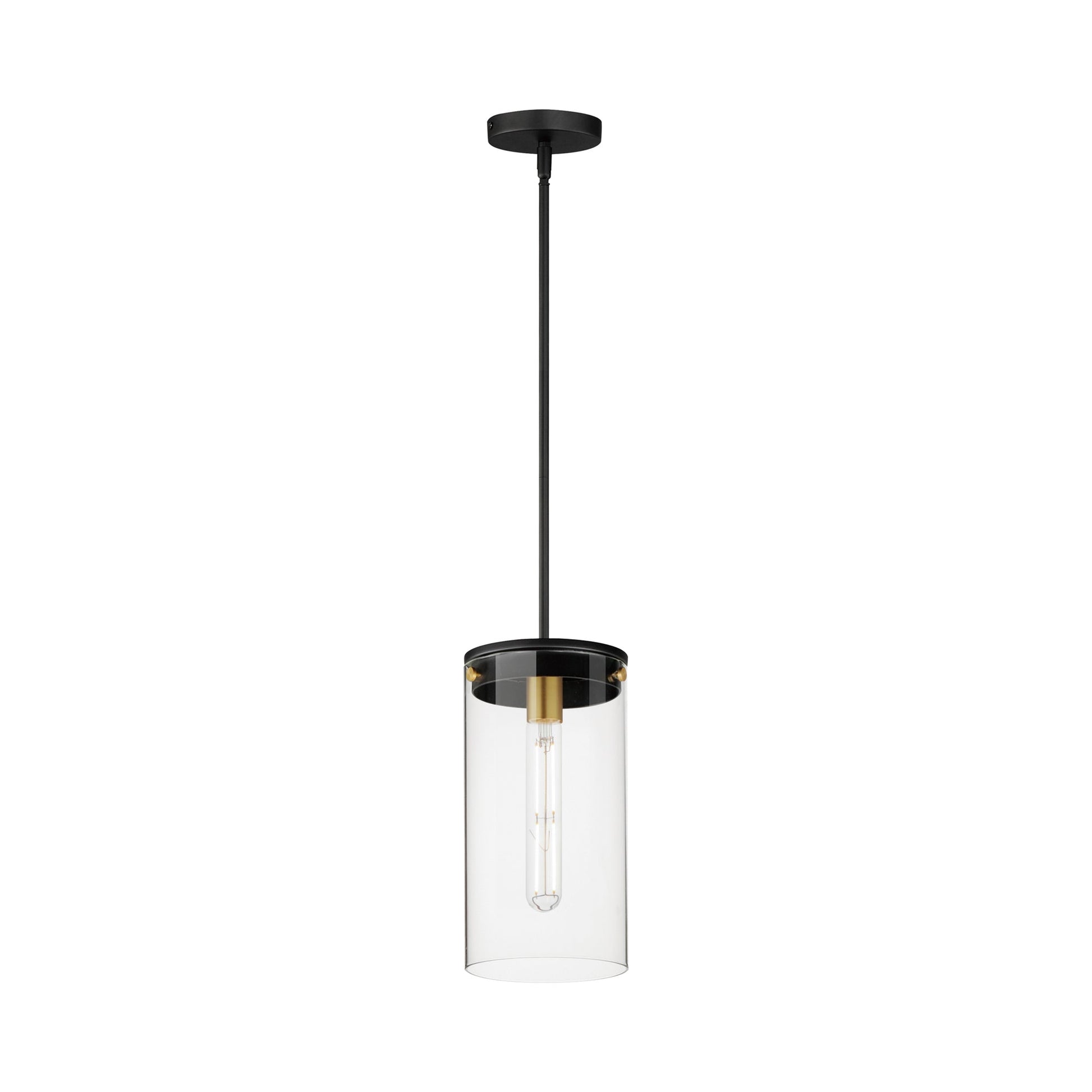 Pinn Wall Pendant Light in Black/Satin Brass (Large).