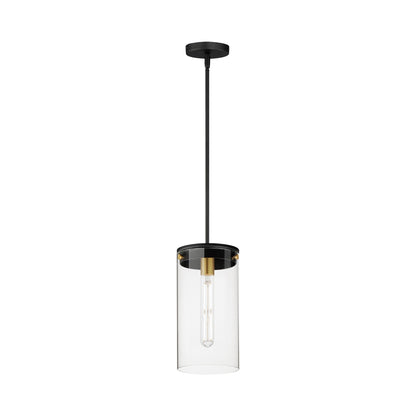 Pinn Wall Pendant Light in Black/Satin Brass (Large).