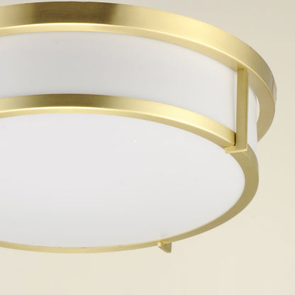 Rogue Flush Mount Ceiling Light in Detail.